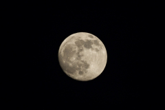 2Q5A0785