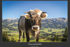 Plakate-A2_quer256