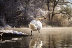 Winter-27-von-32