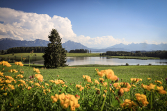 Fuessen-Juli-2024-89-von-210