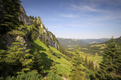 Hinang_Besler-72-von-123